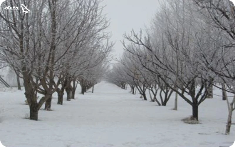 شرایط آب و هوا عجب شیر آب و هوا عجب شیر؛ فصولی دلپذیر در طبیعتی کوهستانی
